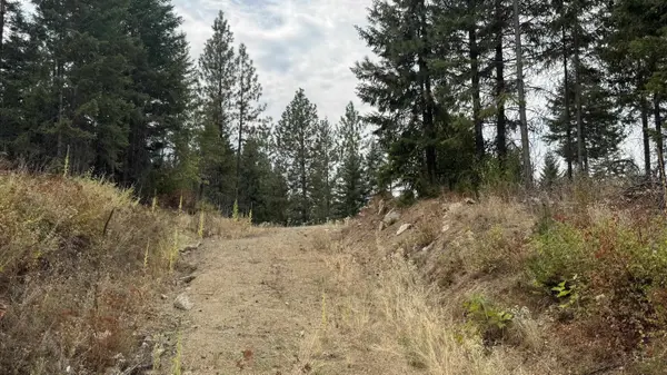 10313 Spring Valley Rd, Newport, WA 99156