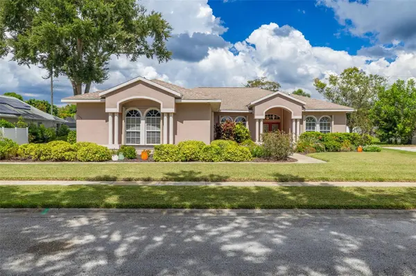 1555 SUNRAY DR, Palm Harbor, FL 34683