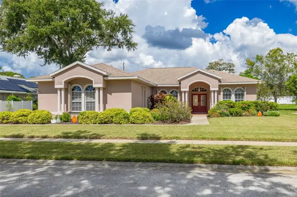 1555 SUNRAY DR, Palm Harbor, FL 34683