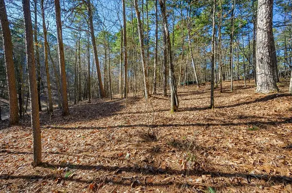 Lamprey RD, Broken Bow, OK 74728