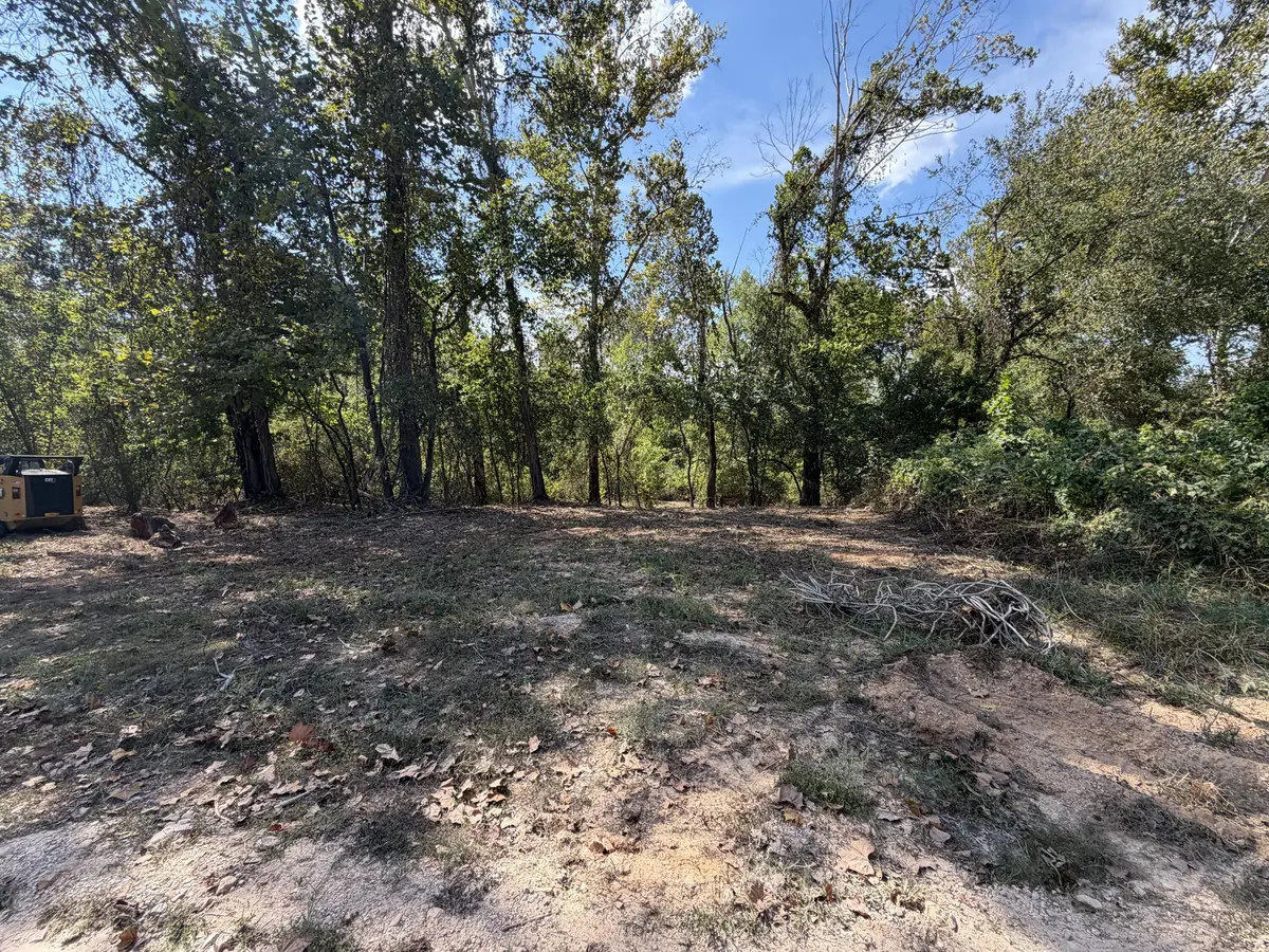 000 Lueckel Drive, Van Buren, MO 63965