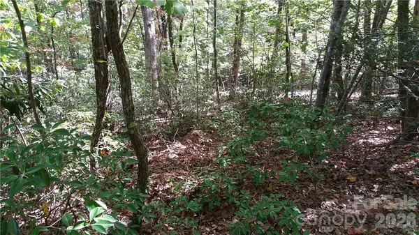 0 Grandview DR #83, Lake Lure, NC 28746
