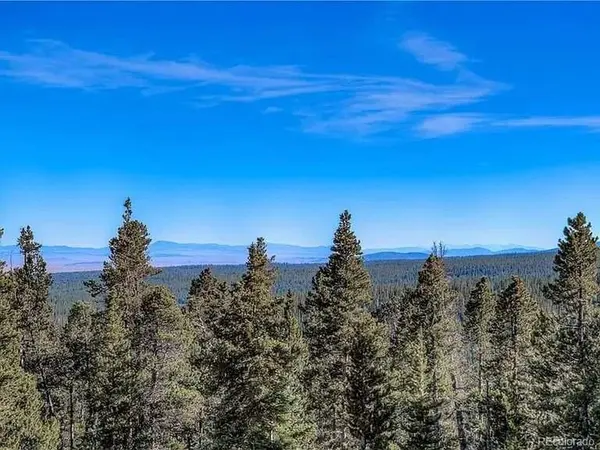300 Gallagher, Fairplay, CO 80440