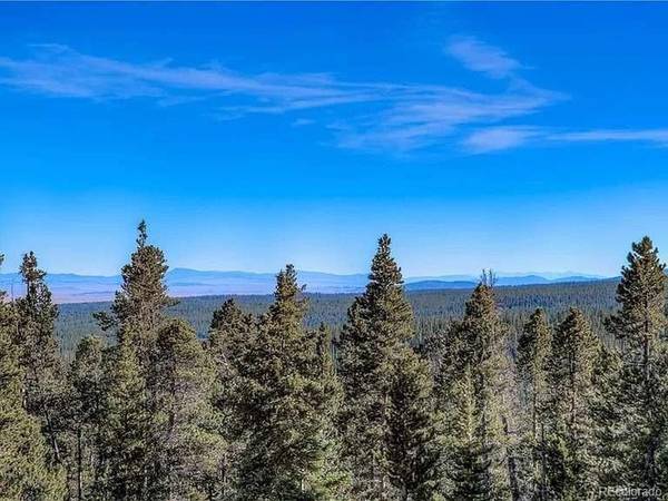 300 Gallagher, Fairplay, CO 80440