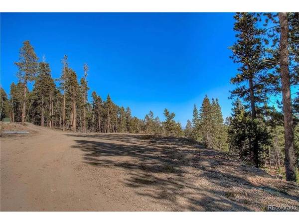 300 Gallagher, Fairplay, CO 80440