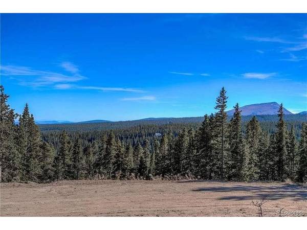 300 Gallagher, Fairplay, CO 80440