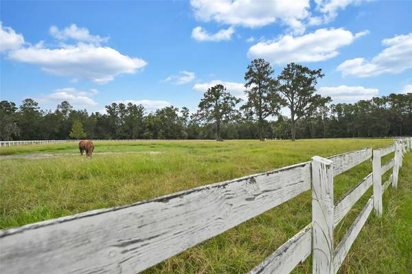 19566 NW 123RD CT, Micanopy, FL 32667