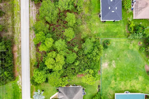 761 ALETHA AVE S, Lehigh Acres, FL 33974