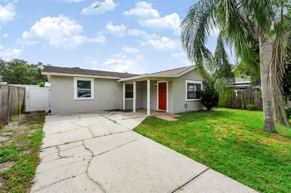 7606 ALVINA ST, Tampa, FL 33625