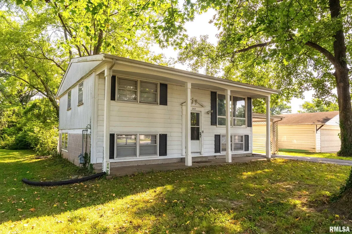 207 N ASH ST, Desoto, IL 62924