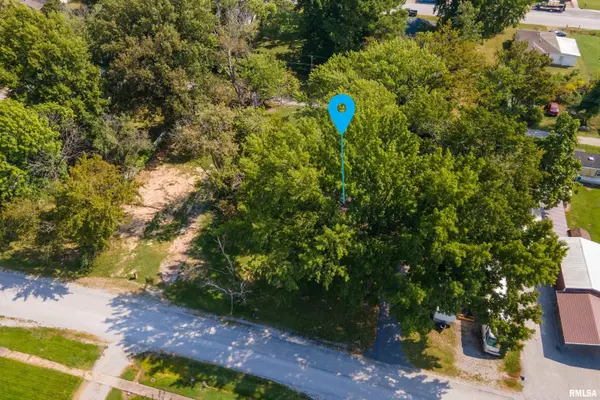 207 N ASH ST, Desoto, IL 62924