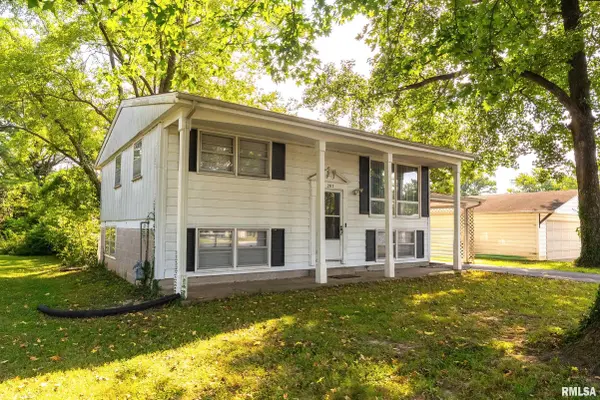207 N ASH ST, Desoto, IL 62924