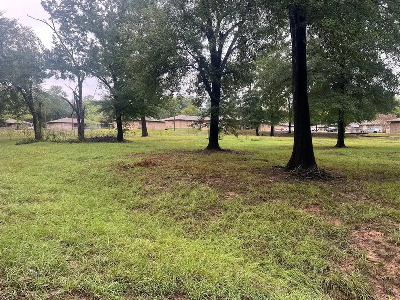 654 FIelder, Grand Saline, TX 75140