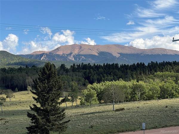 538 Friar Tuck, Divide, CO 80814