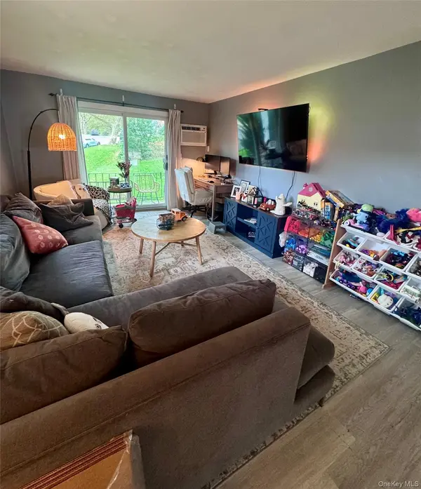 502 Towne House VLG, Hauppauge, NY 11749
