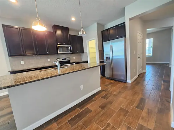 11908 GREENCHOP PL, Riverview, FL 33579