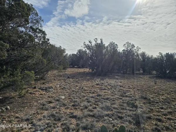 56056 N Bridge Canyon Pkwy, Seligman, AZ 86337