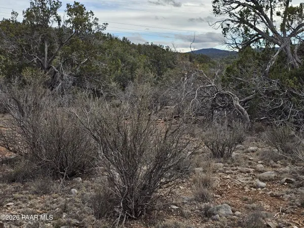 32667 W Conejo RD, Seligman, AZ 86337