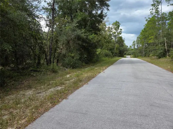 0000 SW SOUTH WATER CT, Dunnellon, FL 34431