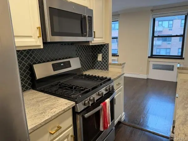 3 Birchwood CT #4M, Mineola, NY 11501