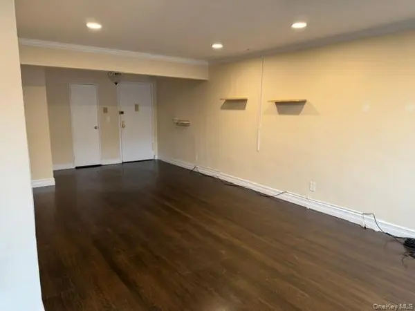 3 Birchwood CT #4M, Mineola, NY 11501