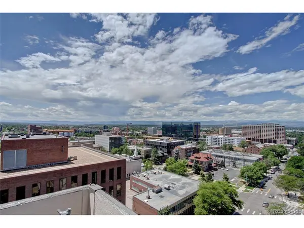 909 N Logan #A, Denver, CO 80203