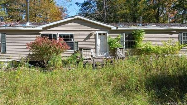 354 Woodland RD, Sidney, NY 13839