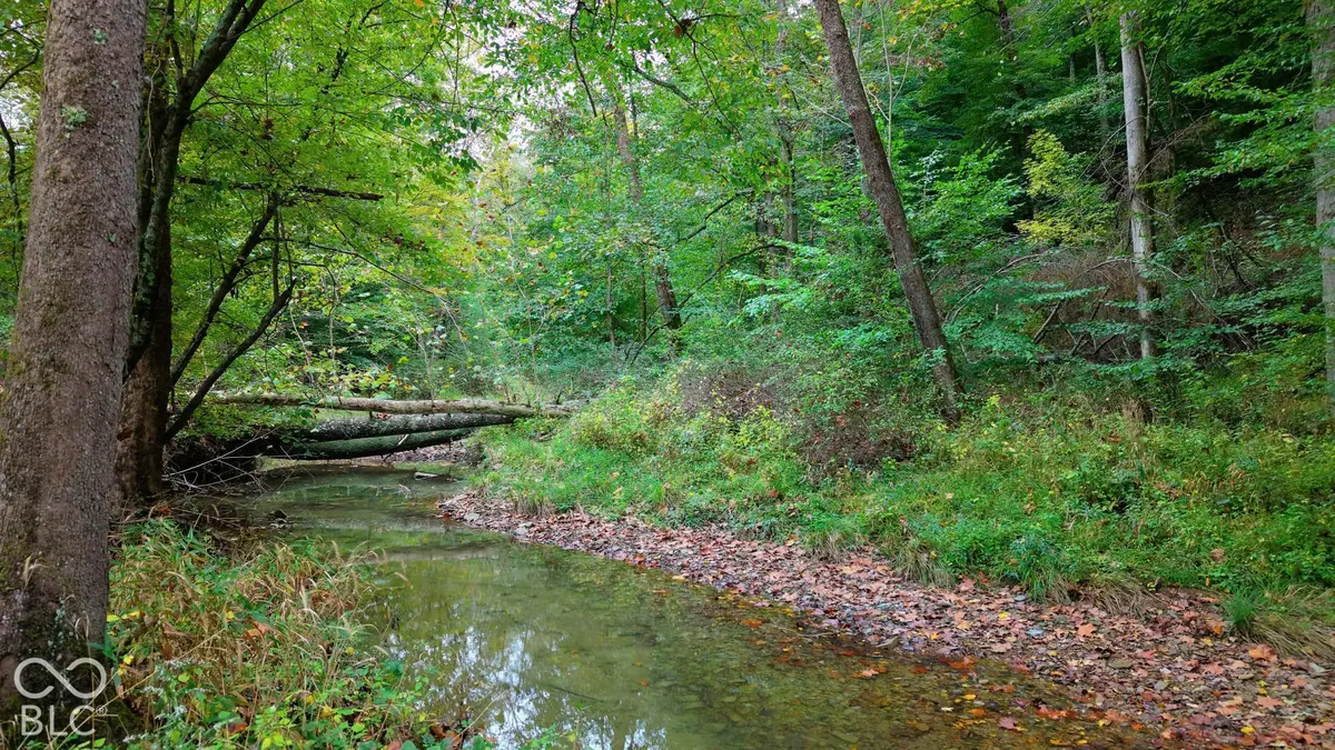XX Rinnie Seitz RD, Nashville, IN 47448