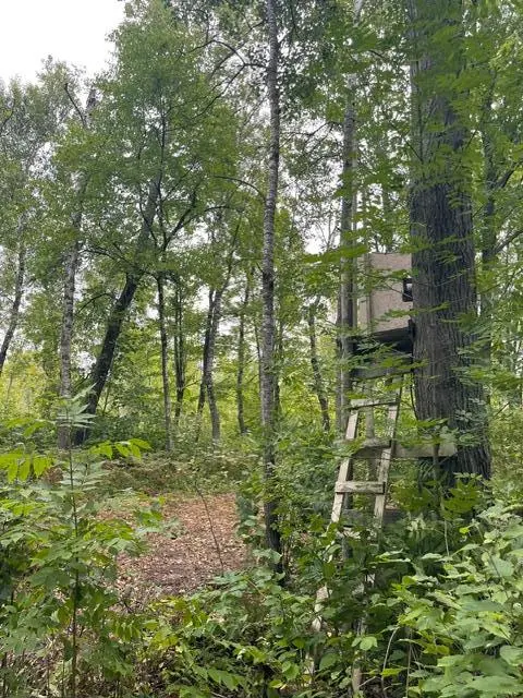 TBD Lacy LN SW, Pequot Lakes, MN 56472