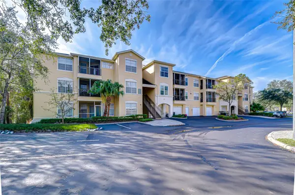 5125 PALM SPRINGS BLVD #3104, Tampa, FL 33647