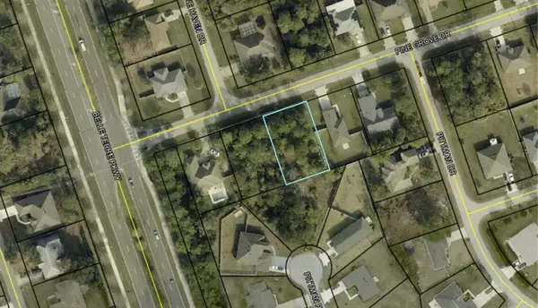 6 PINE GROVE DR, Palm Coast, FL 32164
