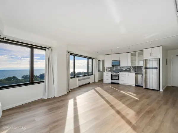 3100 N Lake Shore DR #1408, Chicago, IL 60657