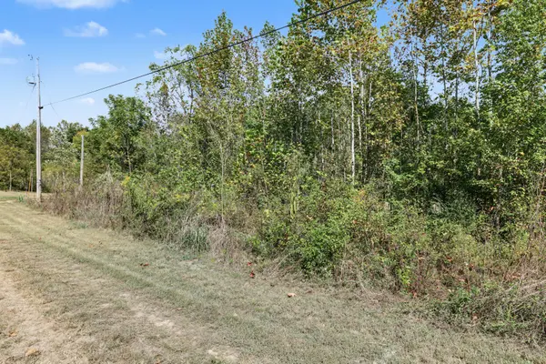 0 N Olivia Ln, Ethridge, TN 38456