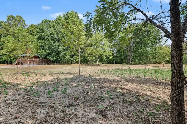 0 N Olivia Ln, Ethridge, TN 38456