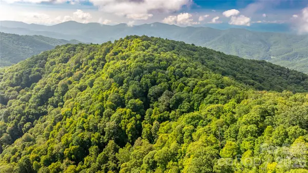 99999 East Alarka RD, Bryson City, NC 28713