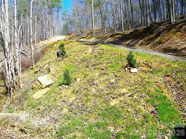 148 Fish Pond LN, Burnsville, NC 28714