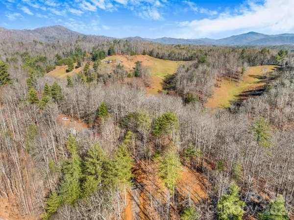 148 Fish Pond LN, Burnsville, NC 28714