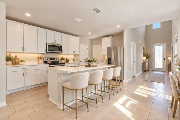 17411 MILLION LAKES CT, Clermont, FL 34714