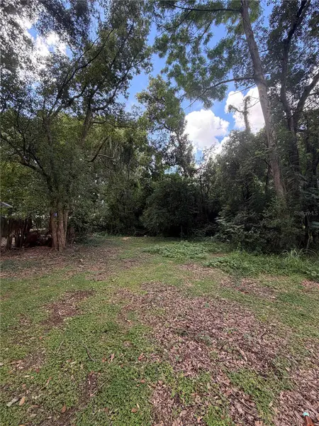 N RHODES ST, Mount Dora, FL 32757