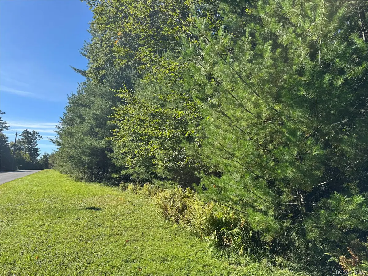 lot 1 Chapin TRL, Bethel, NY 12720