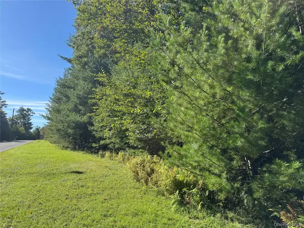 lot 1 Chapin TRL, Bethel, NY 12720