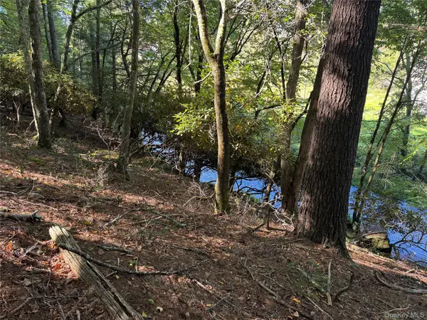 lot 1 Chapin TRL, Bethel, NY 12720