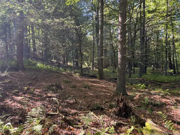 lot 1 Chapin TRL, Bethel, NY 12720
