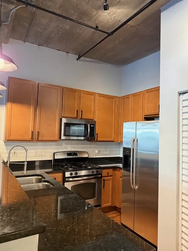 1110 W 15th ST #316, Chicago, IL 60608