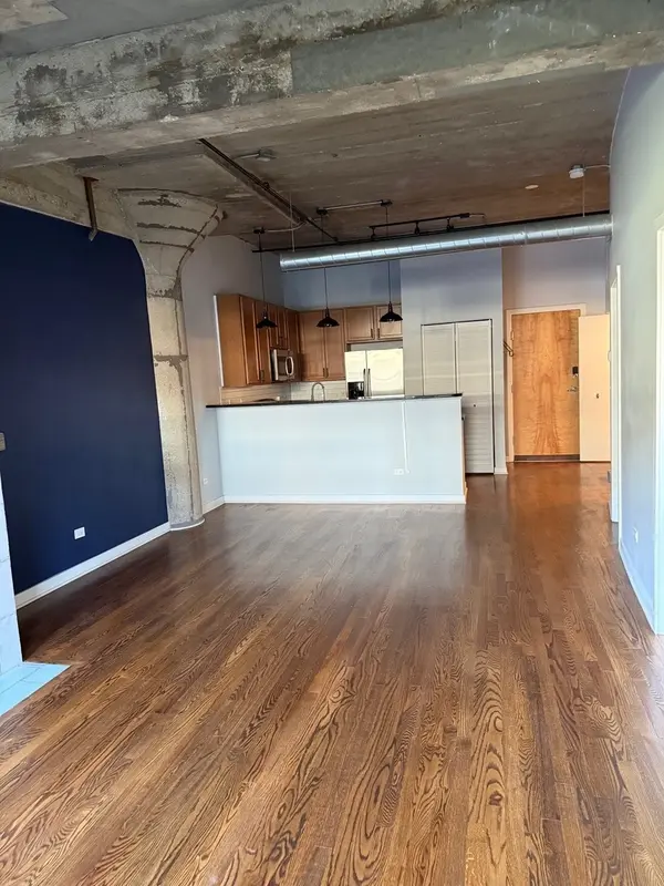 1110 W 15th ST #316, Chicago, IL 60608