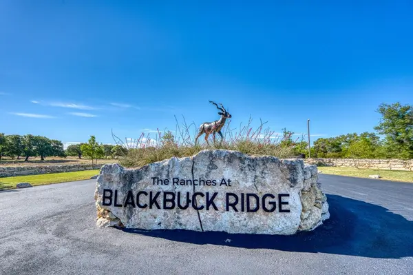 993 Blackbuck Ridge DR, Lampasas, TX 76550