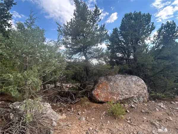 1786 Summitview, Crestone, CO 81131