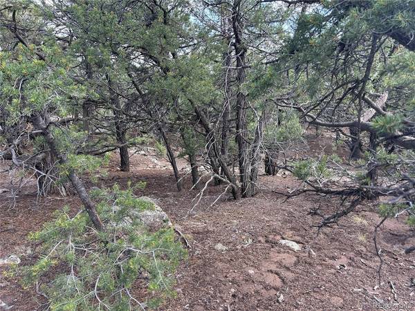 1786 Summitview, Crestone, CO 81131