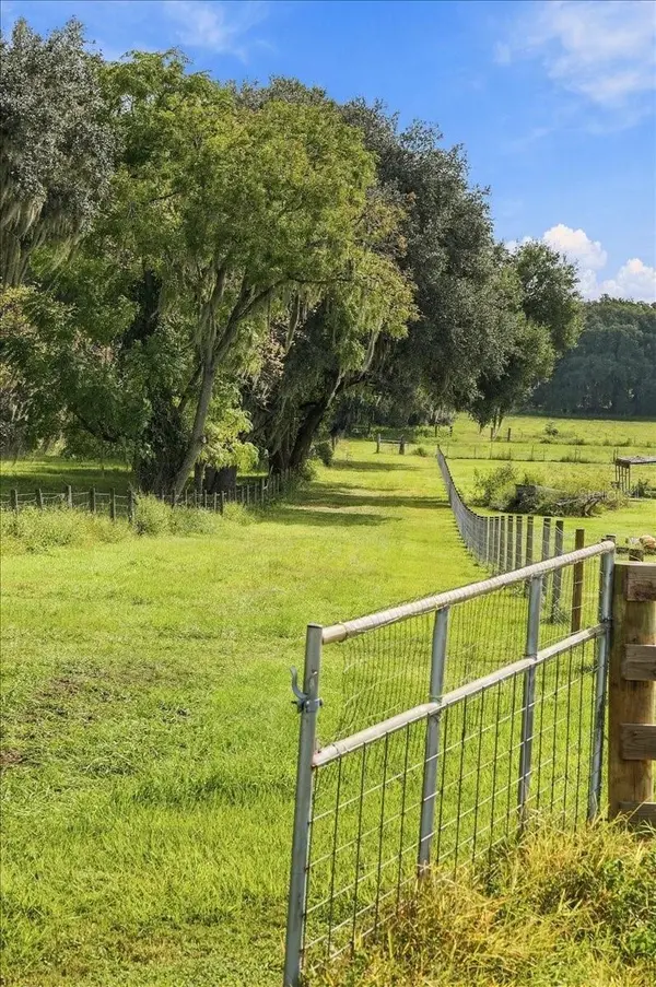 39410 SPARKMAN RD, Dade City, FL 33525