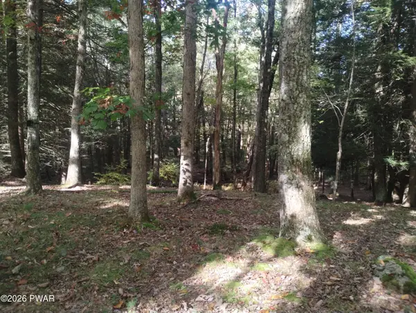 131 Water View DR, Hawley, PA 18428